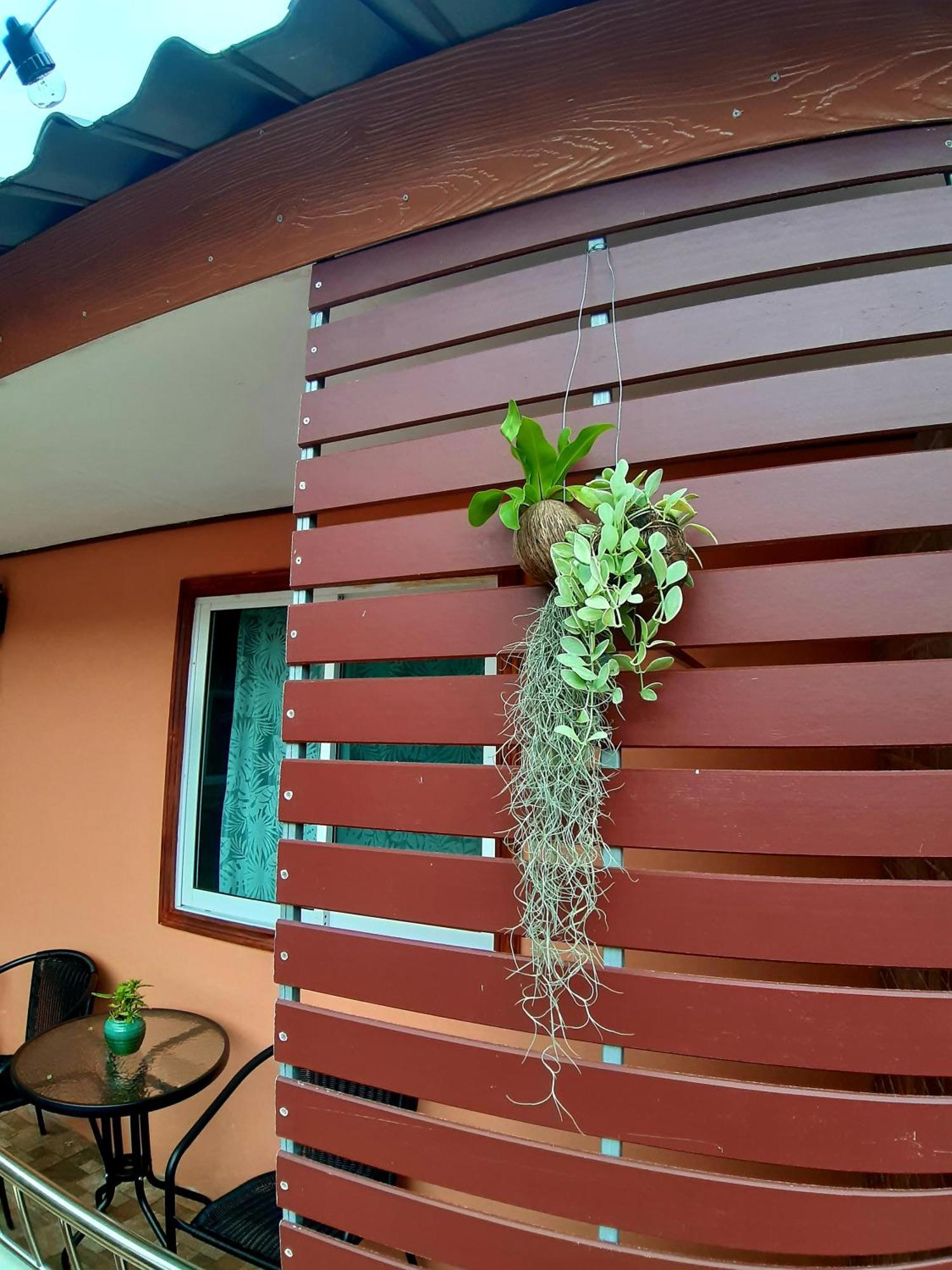 The Windsor Boutique Resort Chumphon Eksteriør bilde